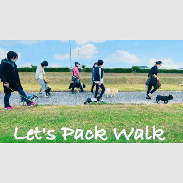 わんこ教室パックウォーククラス開講