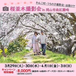 桜並木撮影会 in 岡山南区灘崎、開催決定！