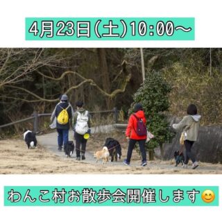 第二回わんこ村🐶お散歩会を開催します✨