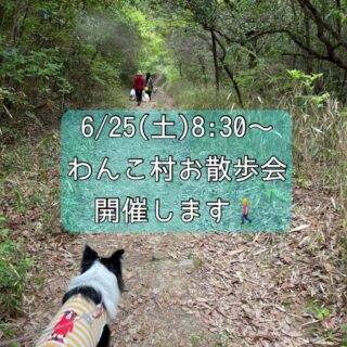 第三回わんこ村🐶お散歩会を開催します✨