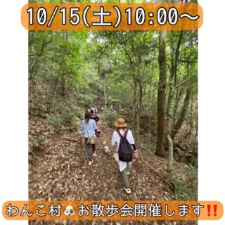 10月15日(土)にわんこ村🐶お散歩会を開催✨
