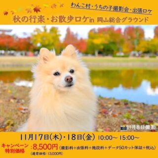 秋の行楽・お散歩ロケ in 岡山総合グラウンド