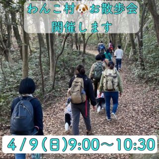 4月9日(日)にわんこ村🐶お散歩会を開催！