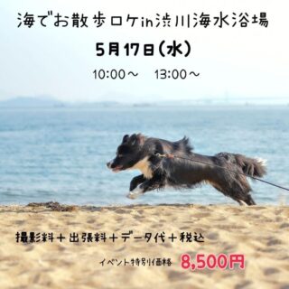 海でお散歩ロケ in 渋川海水浴場🌊