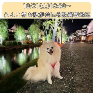 10月21日(土) お散歩会in倉敷美観地区を開催します！