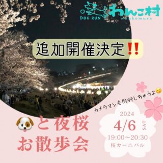 ＜追加開催決定！＞🐶と夜桜🌸お散歩会🚶‍♀️in岡山桜カーニバル