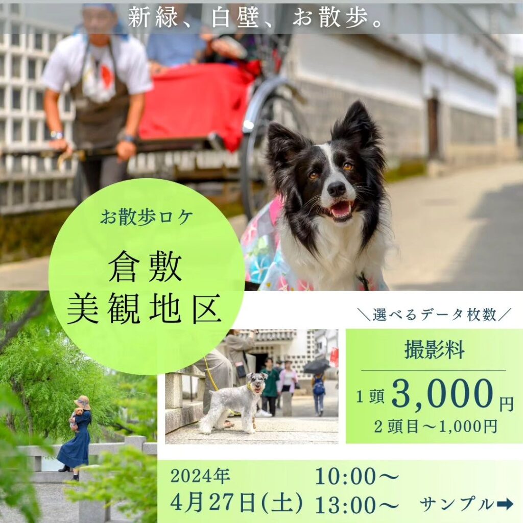 「お散歩ロケin倉敷美観地区🌿」開催決定！