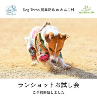 Dog Throb開業記念イベント⭐️ランショットお試し会inわんこ村