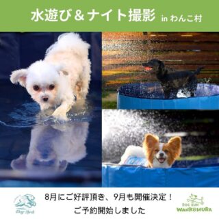 9月も開催！水遊び＆ナイト撮影🚿