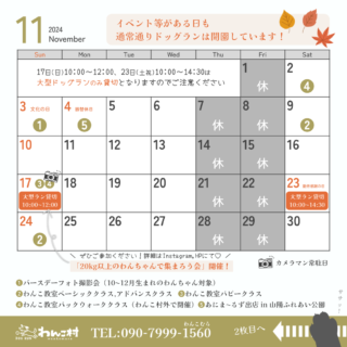 11月のカレンダーです🍂