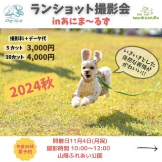 あにま～るずin山陽ふれあい公園に出店します！