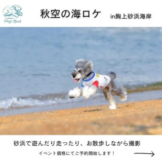 秋空の海ロケin胸上砂浜海岸