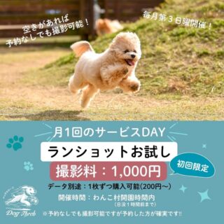 【月1回の特別価格】わんこ村でランショットのお試し撮影が出来ます！