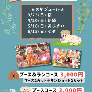 月に1回開催！ブース撮影会inわんこ村