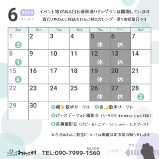 6月のカレンダーです🍀
