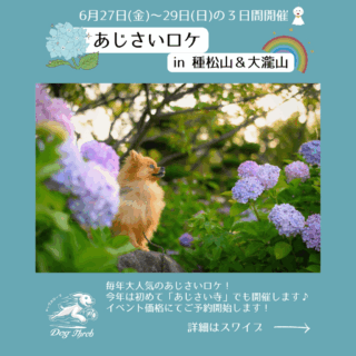 【6/27～29開催】あじさいロケin種松山＆大瀧山
