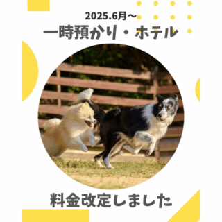 一時預かり・ホテルの料金改定について