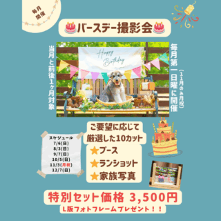 【毎月開催】2025年バースデー撮影会🎂7月～12月のご予約スタート！