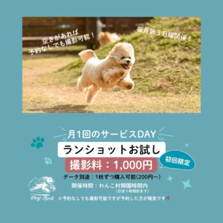 【特別価格】ランショットお試し会 inわんこ村