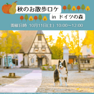 【10/11開催】秋のお散歩ロケinドイツの森