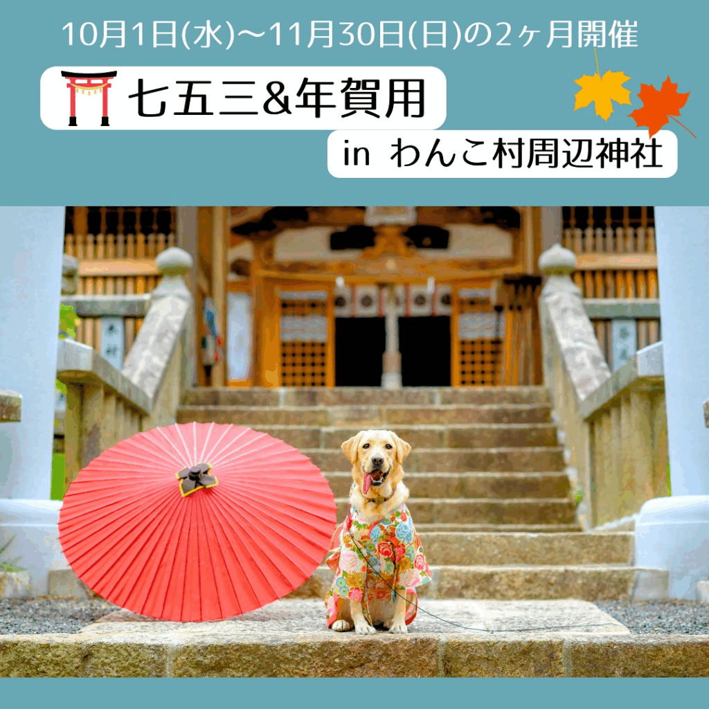【10/1～11/30開催】七五三＆年賀状用ロケ