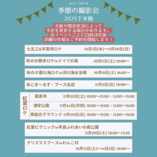 2025下半期・季節の撮影会📸