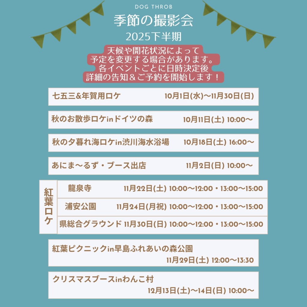 2025下半期・季節の撮影会📸