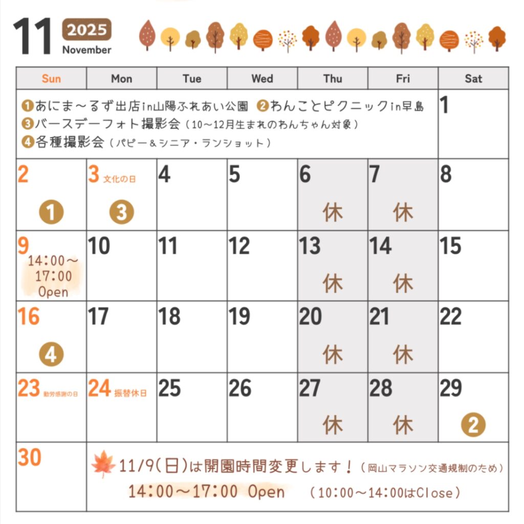 11月のカレンダーです🍁