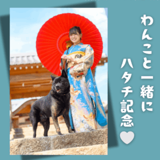 【今年だけの特別価格】わんこと一緒にハタチ記念