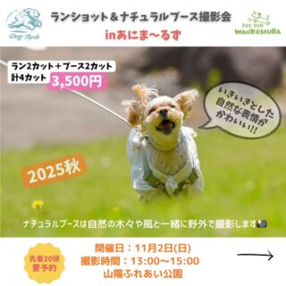 11月2日(日)「あにま〜るず」に出店します！