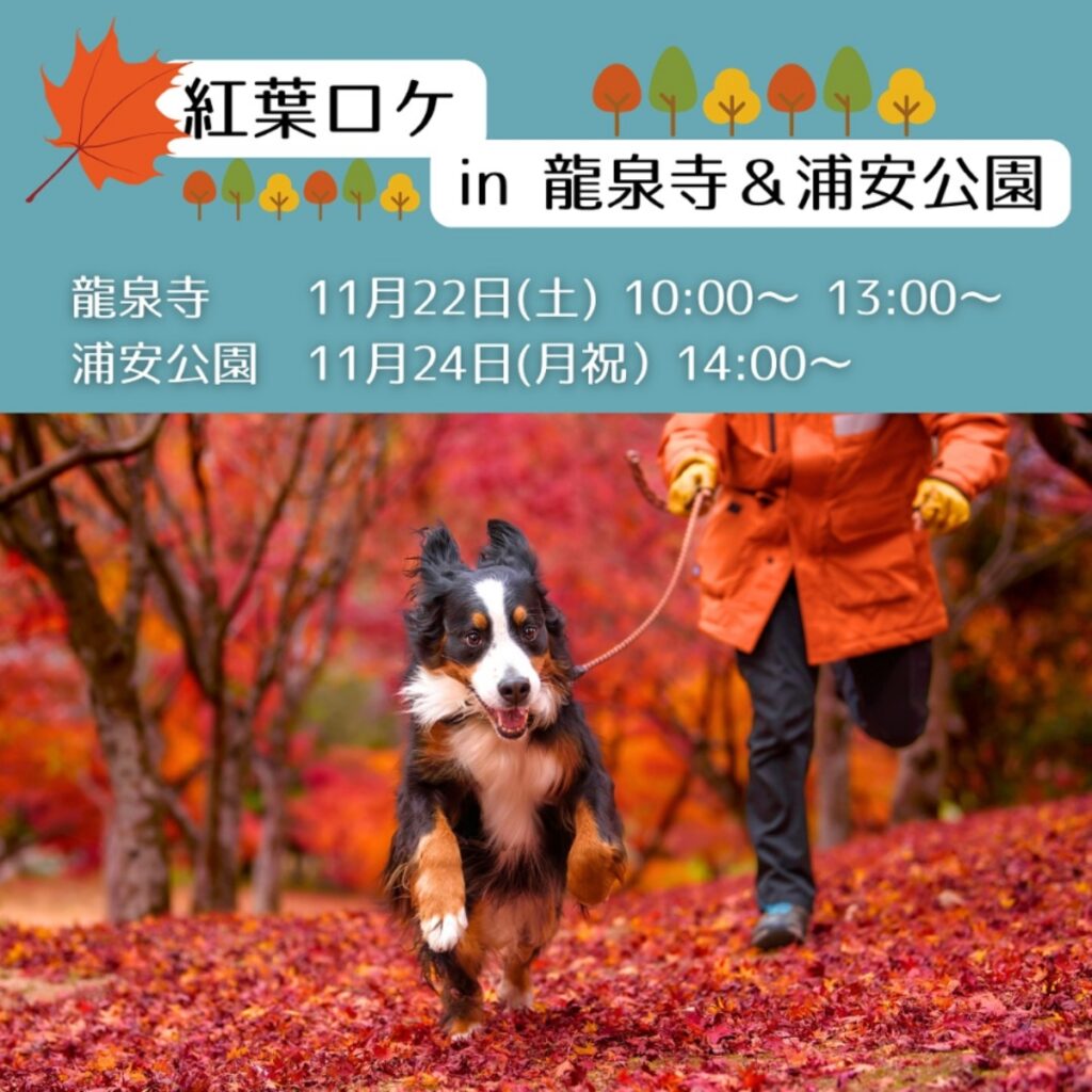 【11/22 & 24開催】秋のお散歩ロケ in 龍泉寺＆浦安公園