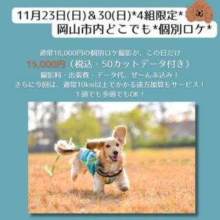 【11/23(日)&30(日)限定開催】秋の特別個別ロケ in 岡山市内