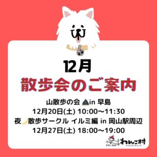 12月・散歩会のご案内🐾
