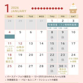 1月のカレンダーです🎍