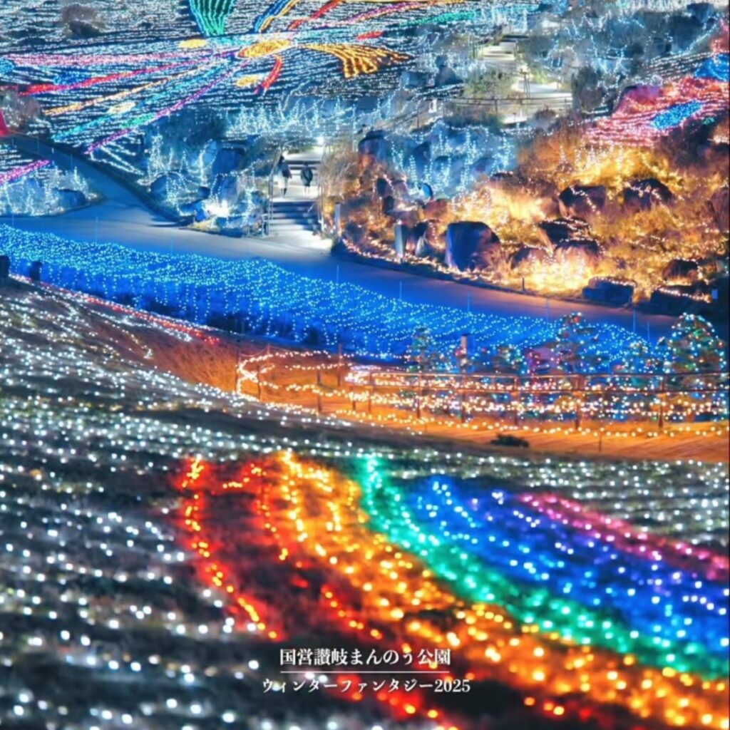 12月・散歩会の追加🐾‼️