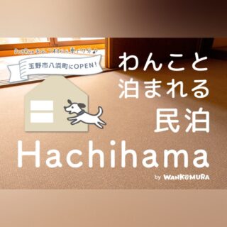 「わんこと泊まれる民泊 Hachihama」 をオープン！