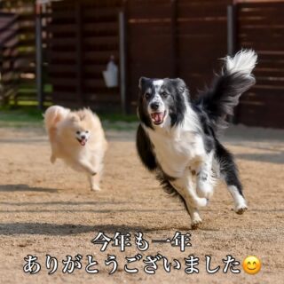 今年も素敵な時間をありがとうございました❣️