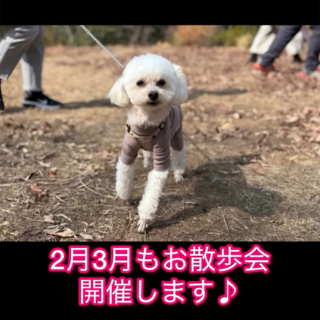 2月・3月のわんこ村お散歩会のご案内🐾