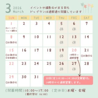 3月のカレンダーです🎎