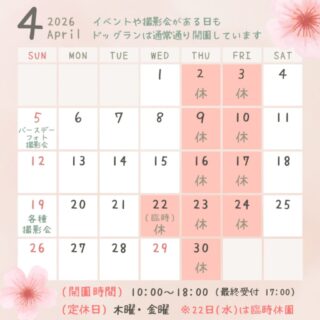 4月のカレンダーです🌸