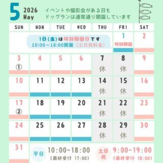 5月のカレンダーです🎏