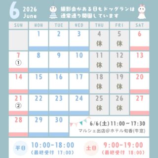 6月のカレンダーです🗓️
