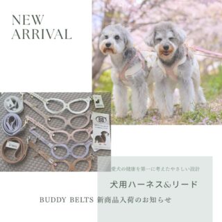 【新商品入荷のお知らせ】バディーベルト
