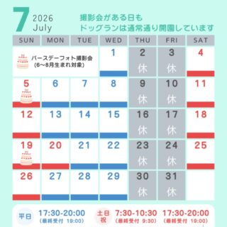 7月のカレンダーです🌻