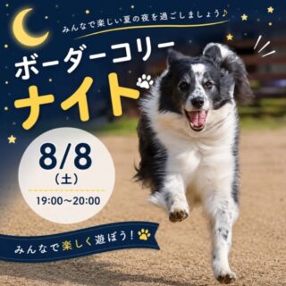 ボーダーコリーナイト🌙🐾開催！