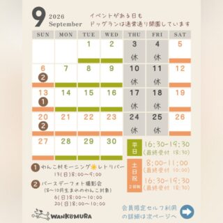 9月のカレンダーです🗓️