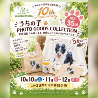 10周年記念特別企画！うちの子 PHOTO GOODS COLLECTION