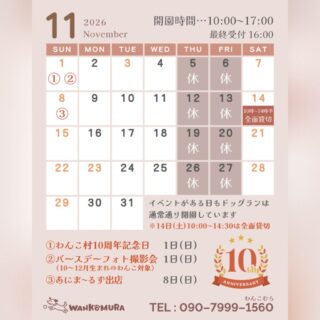 11月のカレンダーです🍄