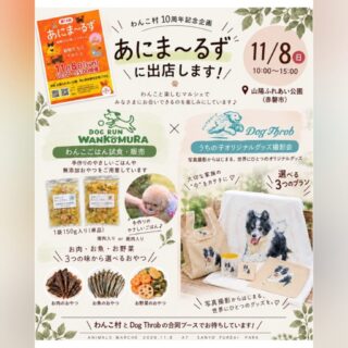 11/8(日) あにま〜るず出店！🐶